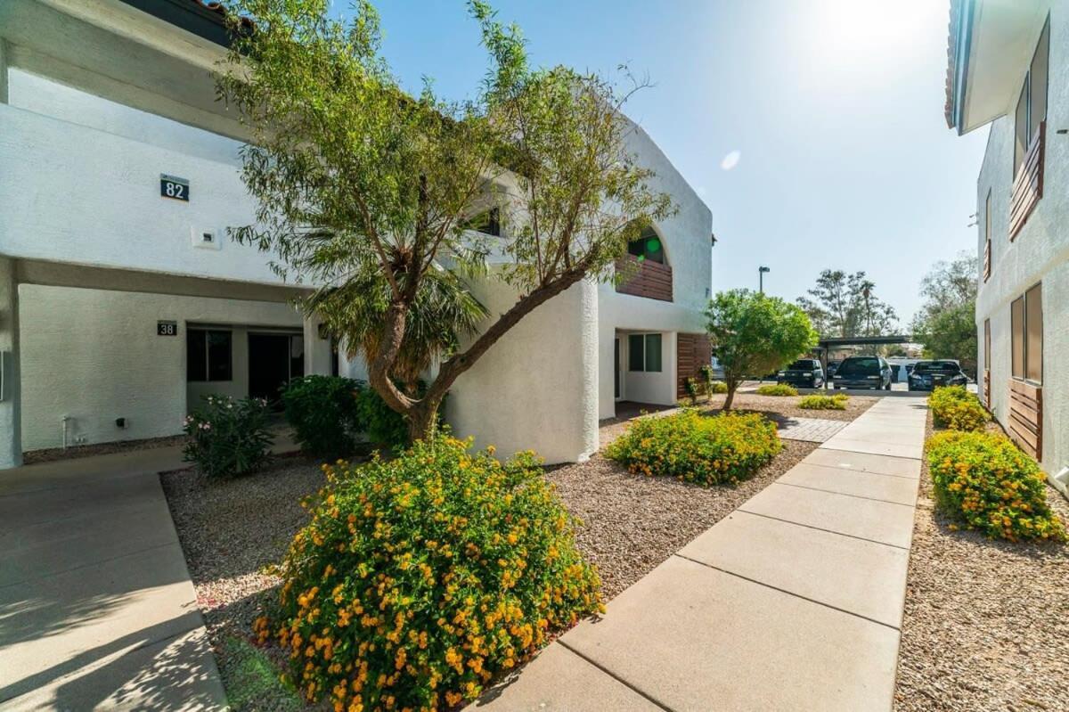 41A Modern Large Studio Condo W Heated Pool カーサ・グランデ エクステリア 写真